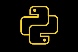 Coding Basics in Python