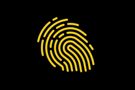 Digital Forensics & Incident Response